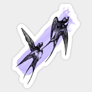 swallows Sticker